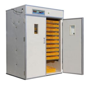 3520 eggs Incubator