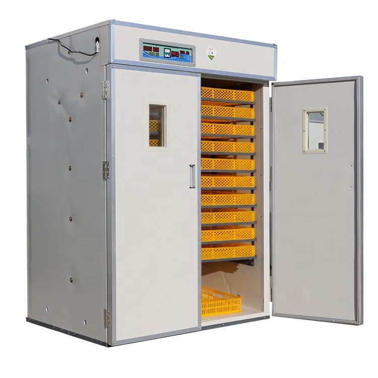 3520 eggs Incubator