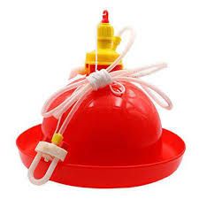 Small Automatic Drinker