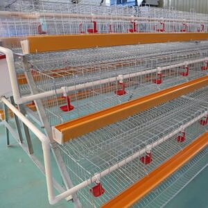 A type 3tier (96 birds)