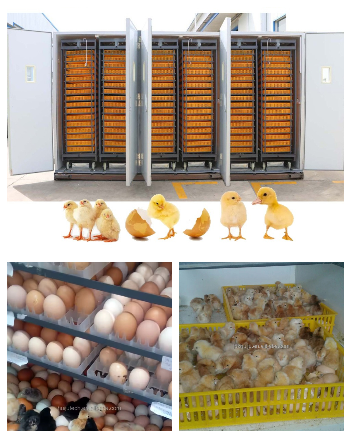 33792 Eggs Incubator - Image 4