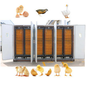 33792 Eggs Incubator