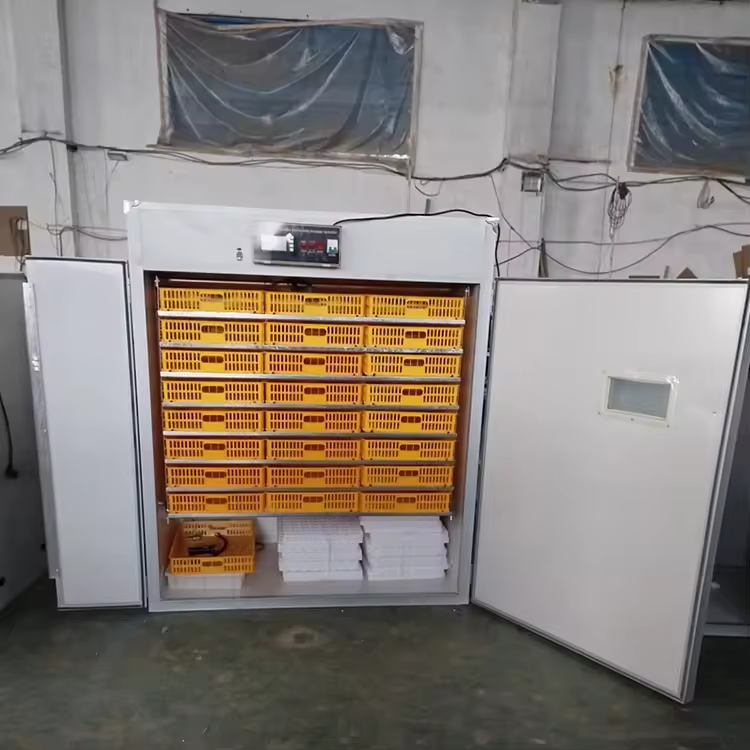 5280 Egg Incubator - Image 2