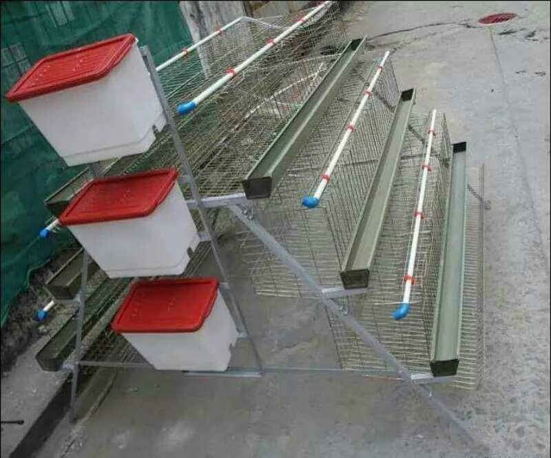 A type 4tier (128 birds) - Image 2